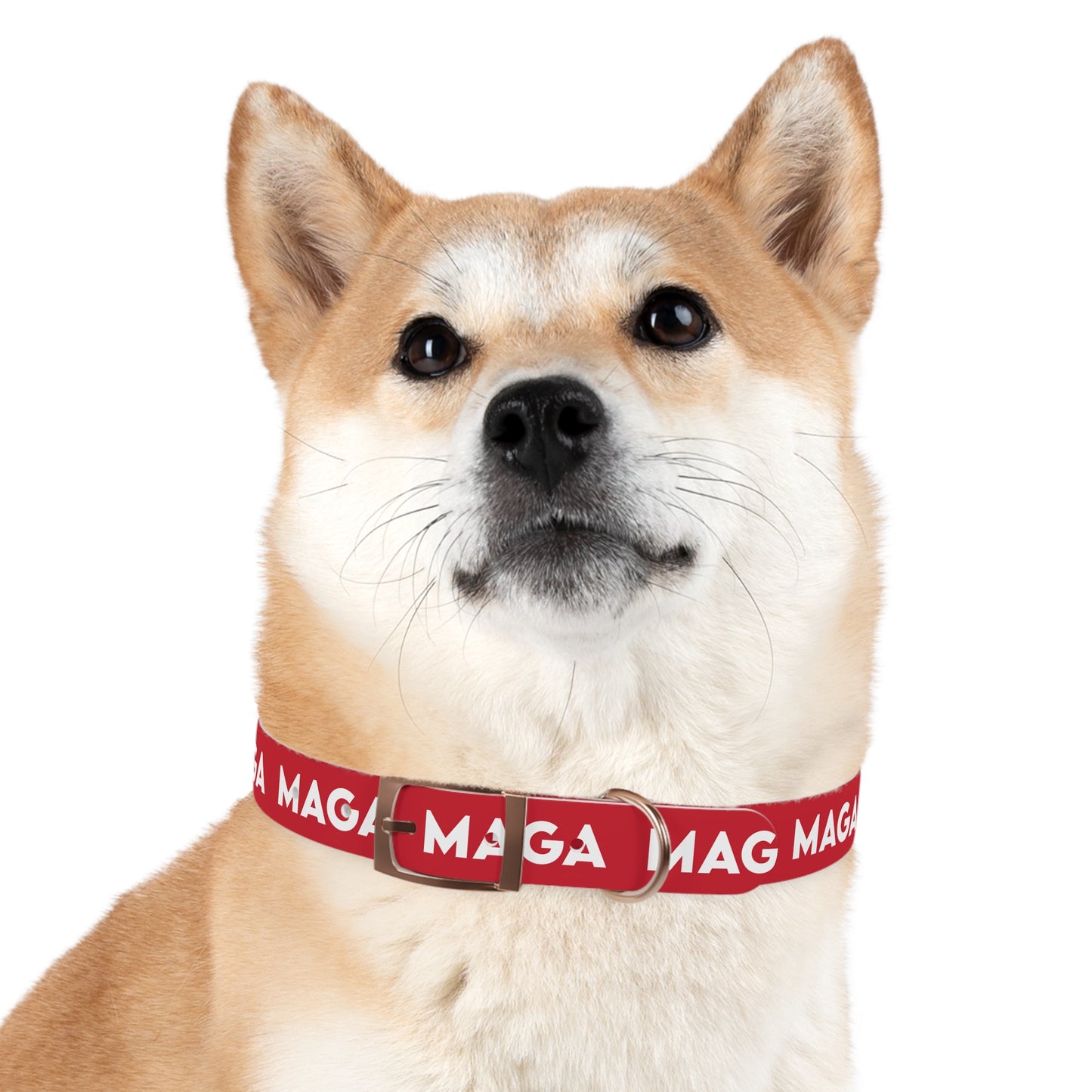 MAGA Dog Collar