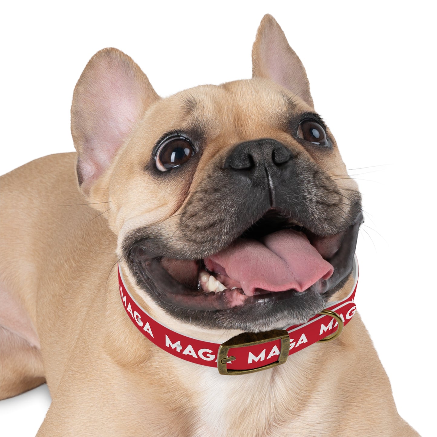 MAGA Dog Collar