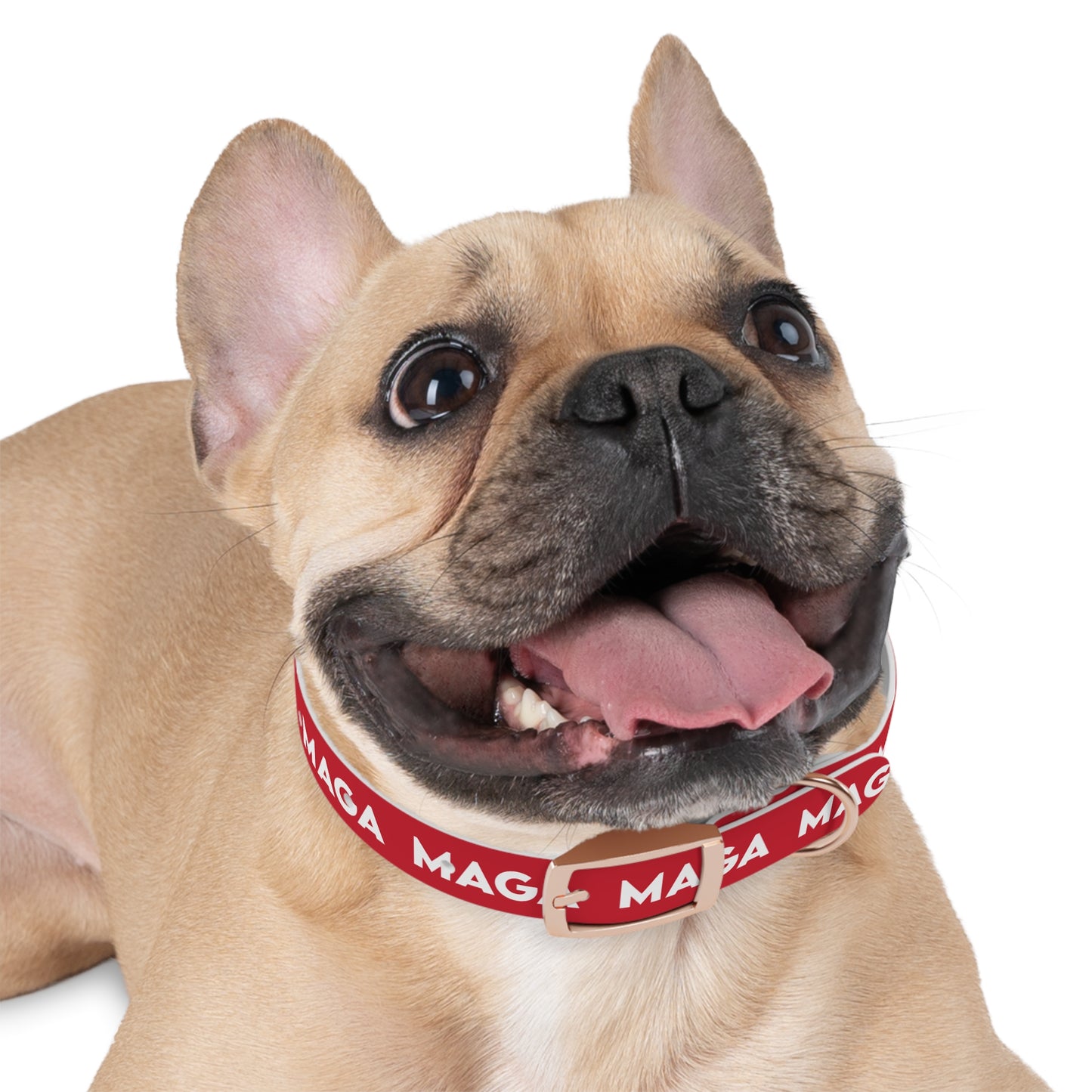 MAGA Dog Collar