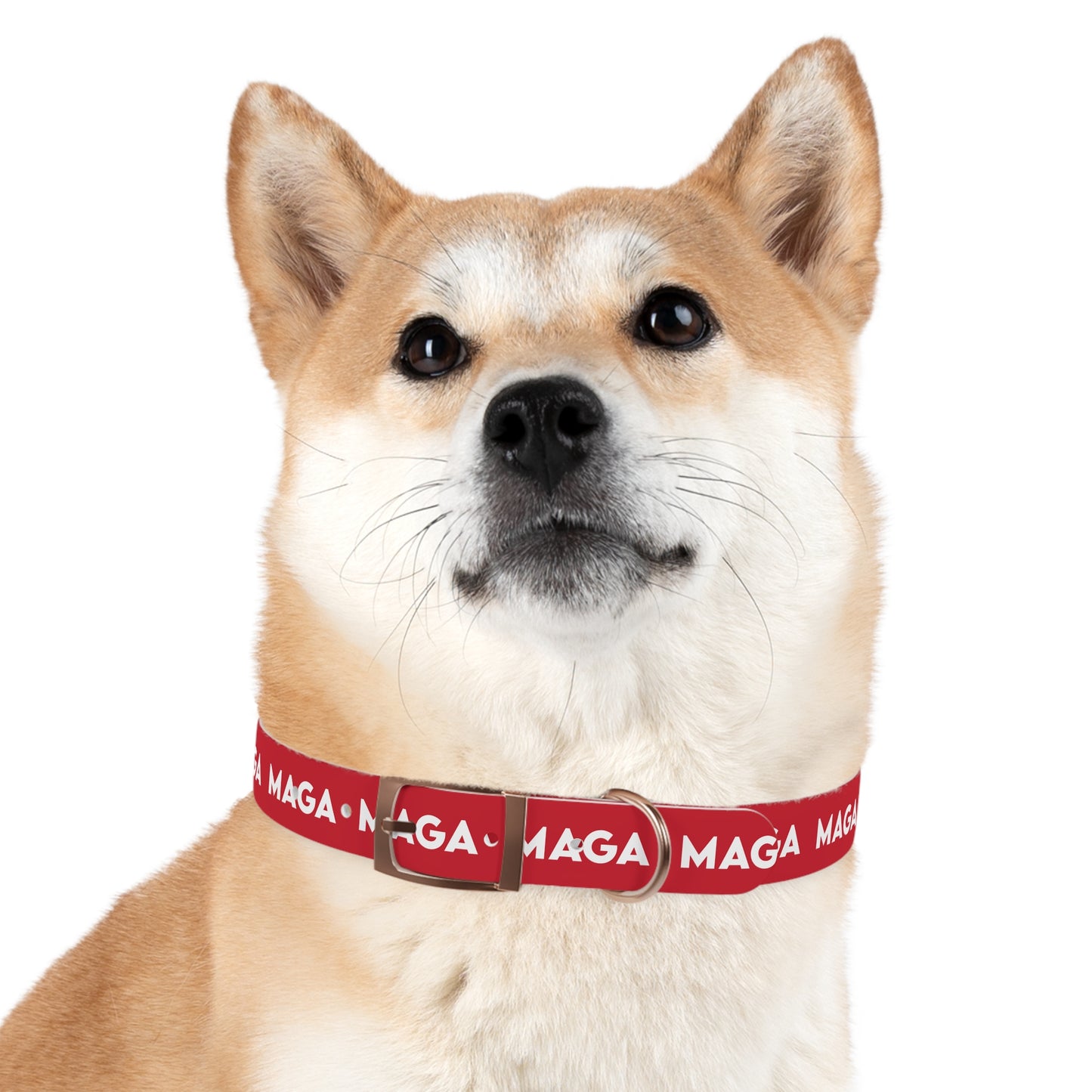 MAGA Dog Collar