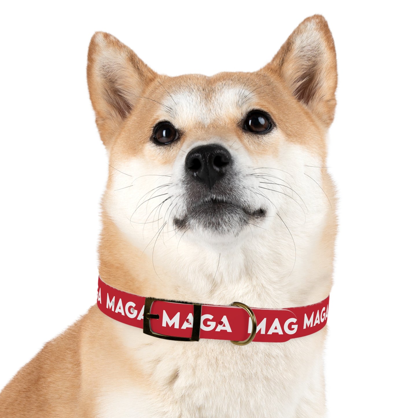 MAGA Dog Collar