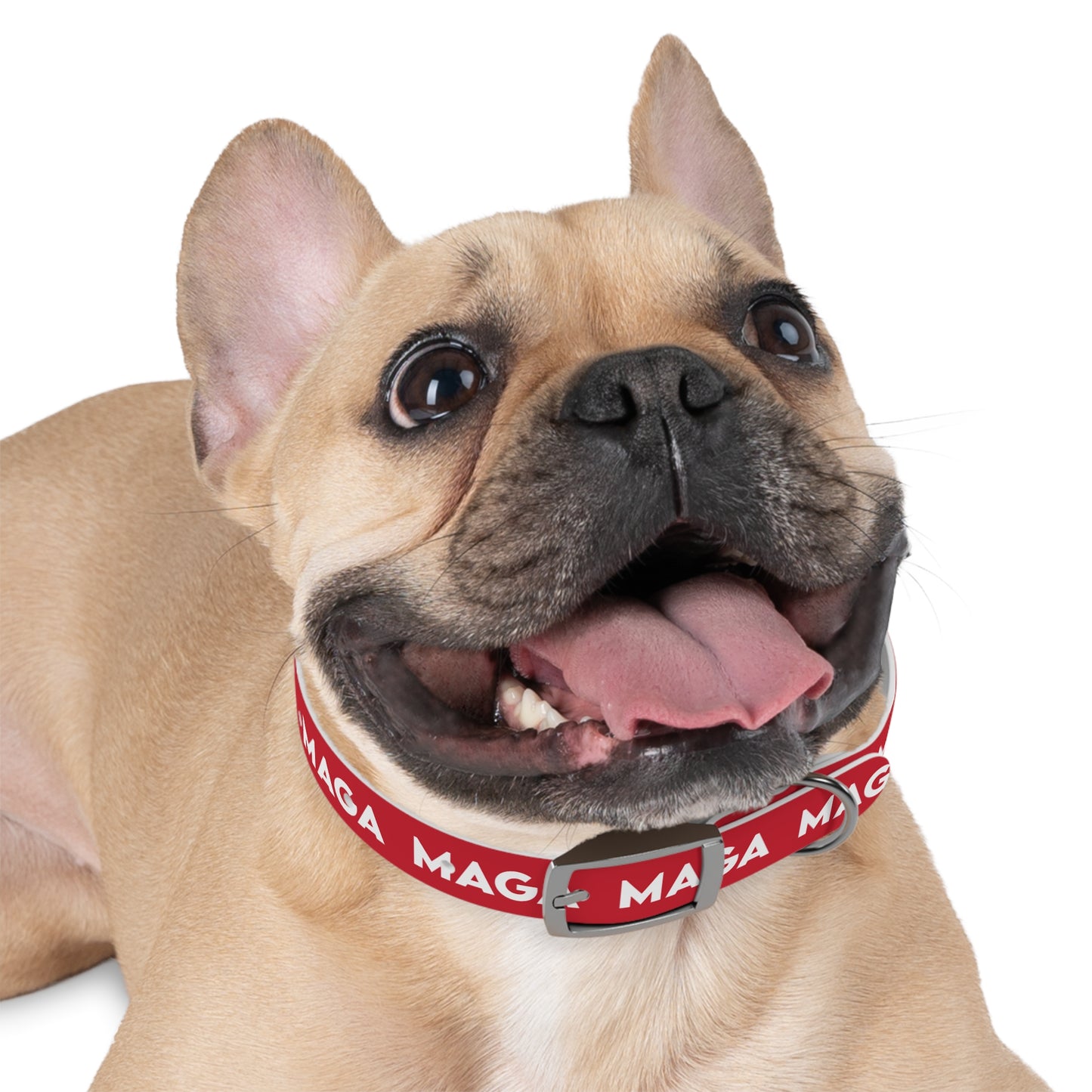 MAGA Dog Collar