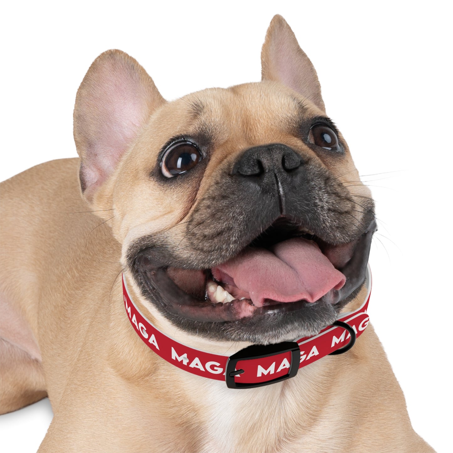 MAGA Dog Collar